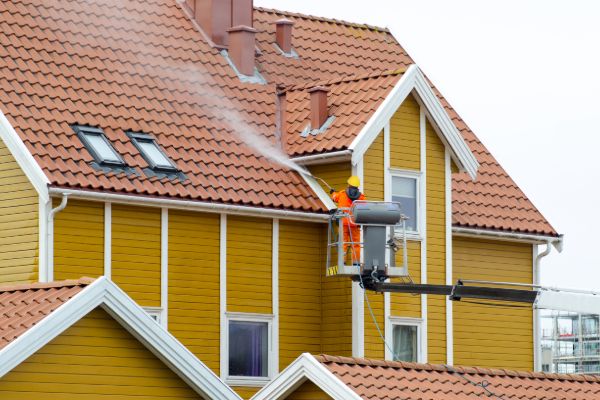 Roof-Cleaning-Services-3-1